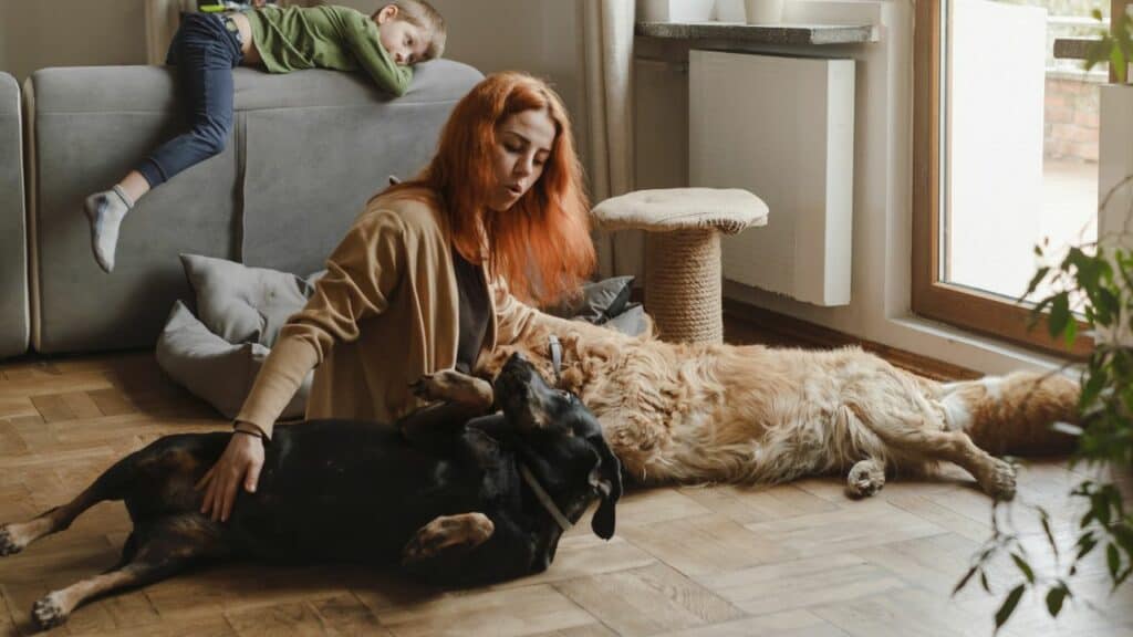woman playing with two dogs