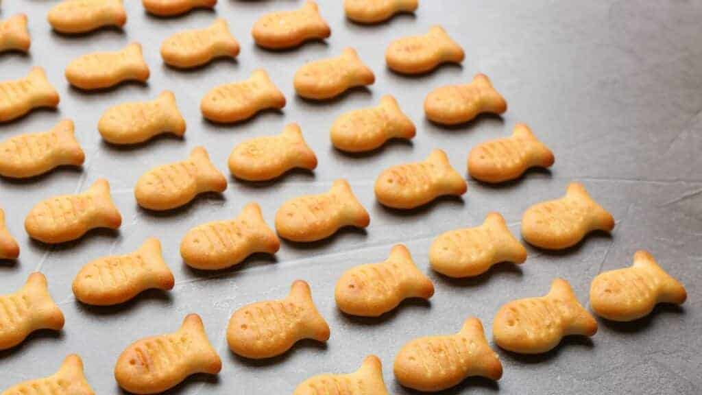 goldfish crackers lying on the floor