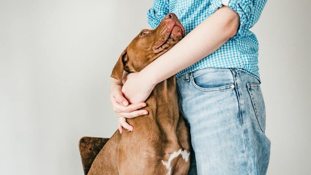 brown dog gets hugged by woman