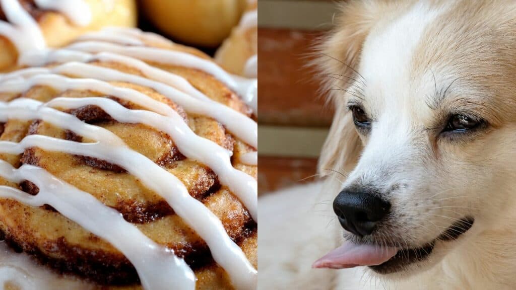 cinnamon rolls on left side dog on right side