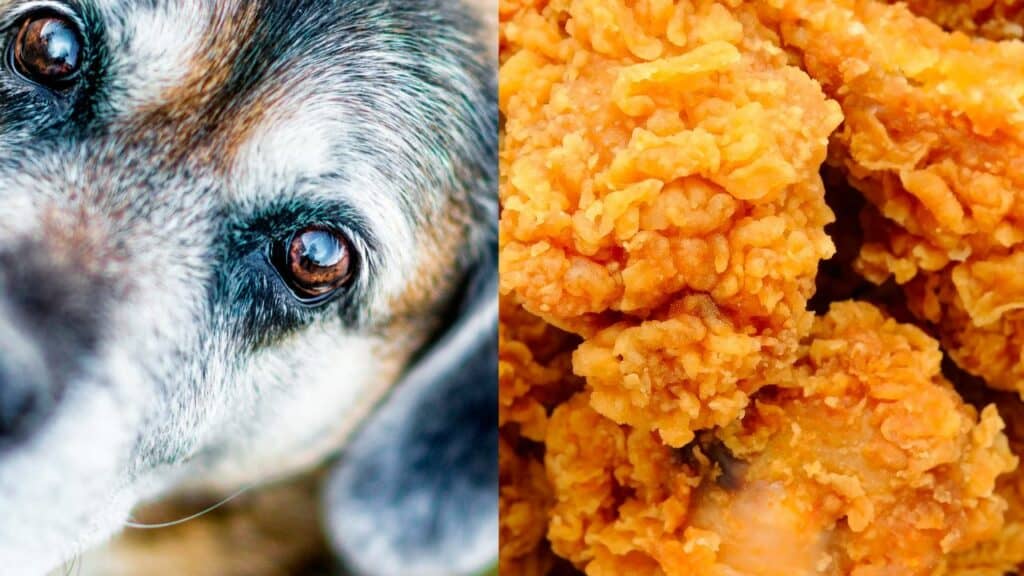 dog on left side fried chicken on right side