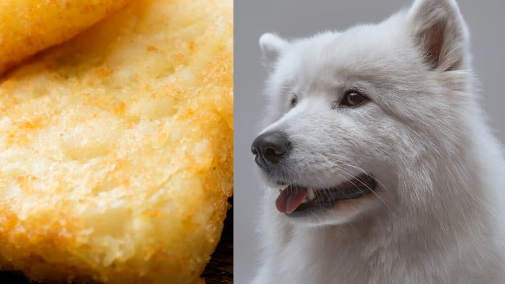 hash browns on left side white dog on right side