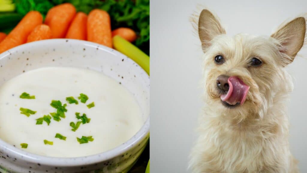 Ranch dressing on left side dog on right side licking his mouth