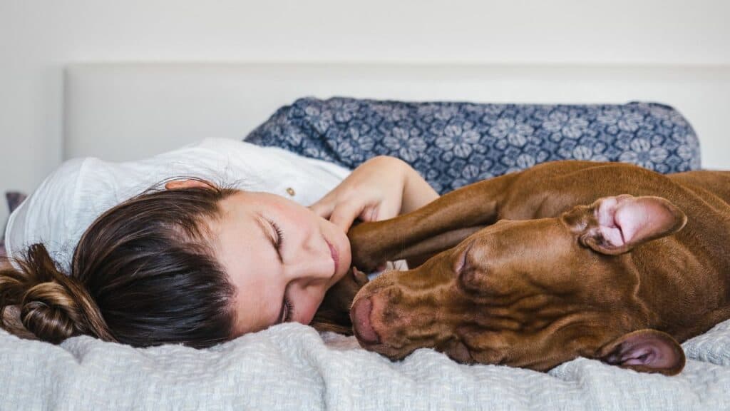 woman and dog sleeping in bed