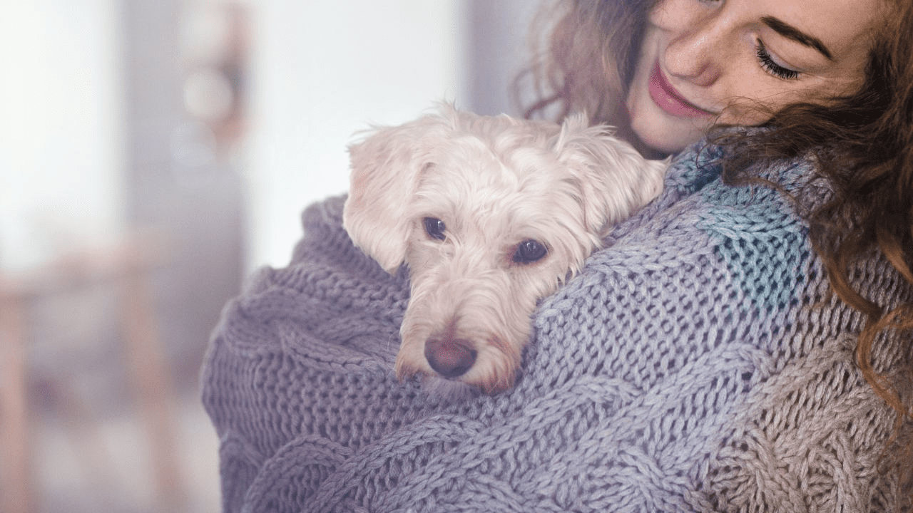 woman holding white dog and cuddling him