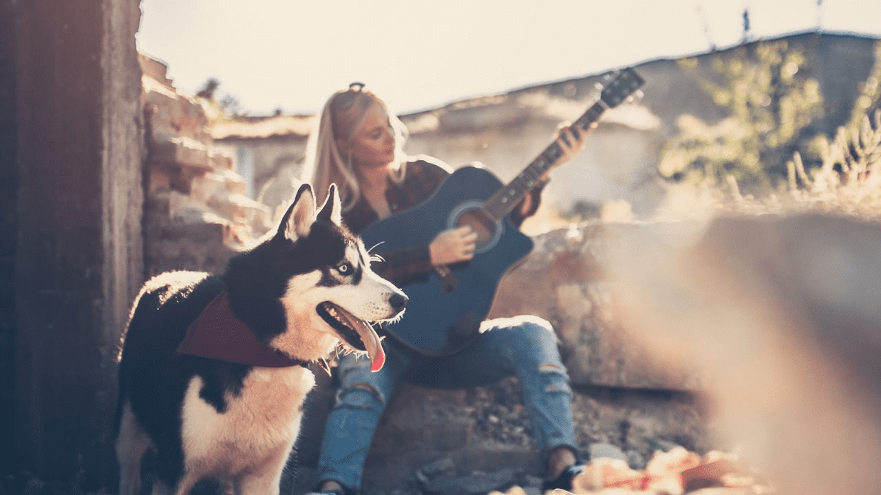 dog in the front woman with guitar in back