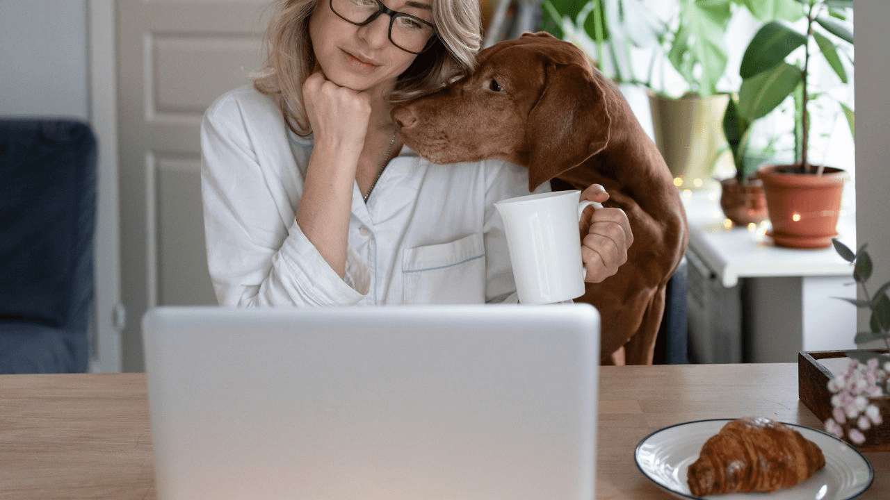 woman working on a computer with a brown dog next to her