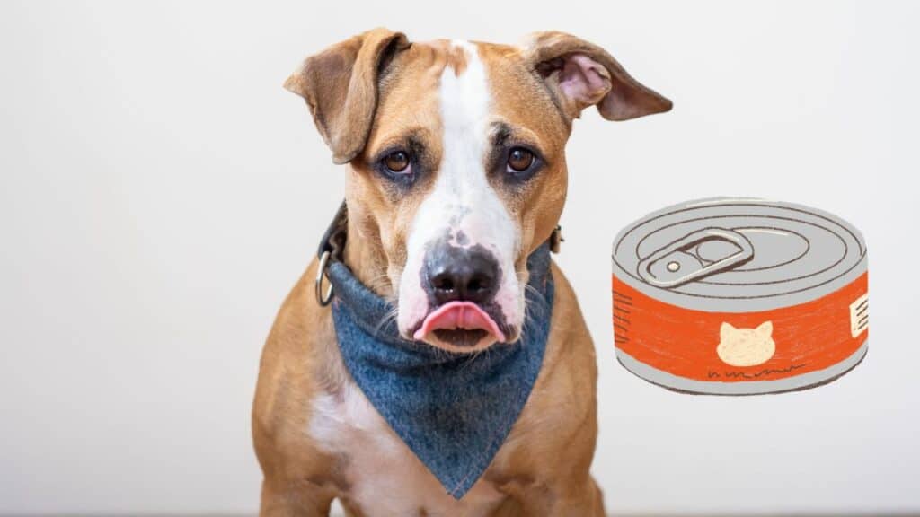 brown dog and a can of cat food
