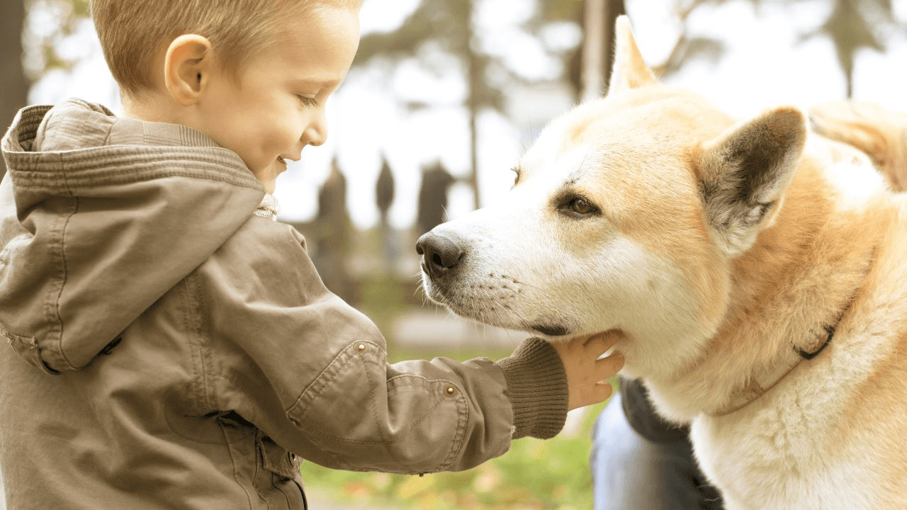 little boy petting a brown dog
