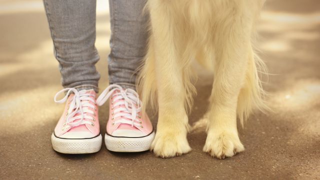 dog feet standing next to woman feet