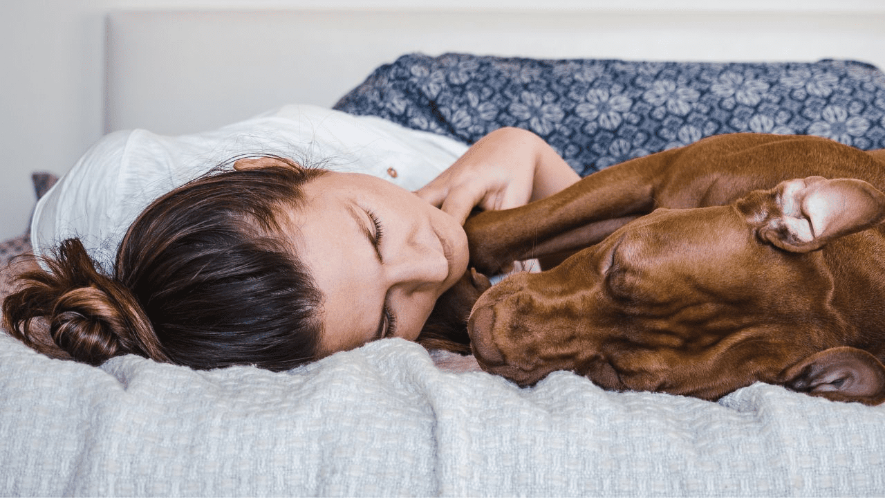 woman and brown dog cuddling on couch