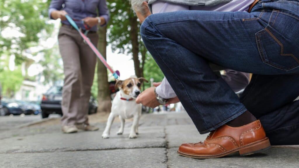little dog with woman in background men on knees on the front