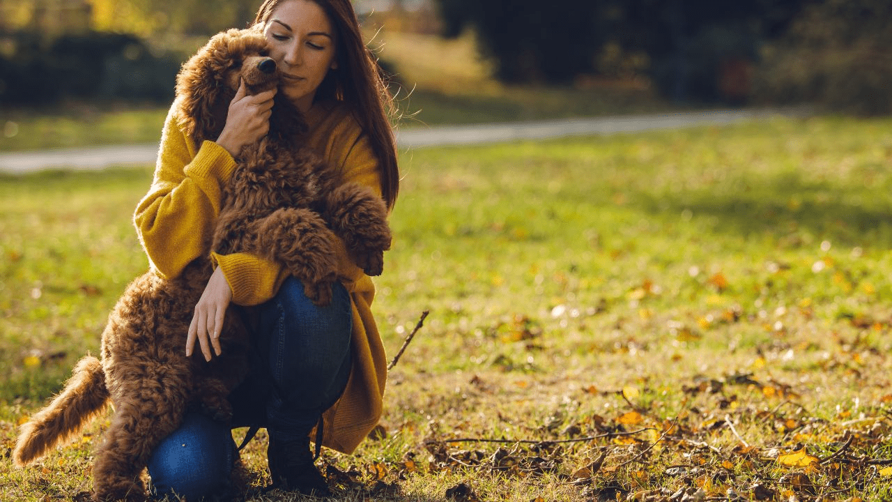 woman in yellow clothes hugs a brown dog