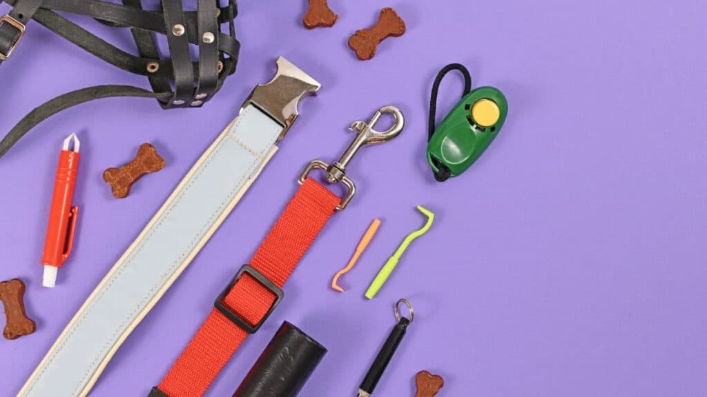 a lot of dog essentials for walking