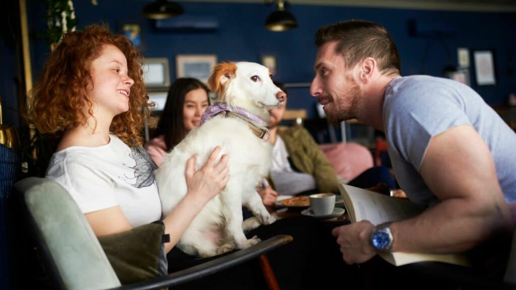 dog not looking amused meeting new people