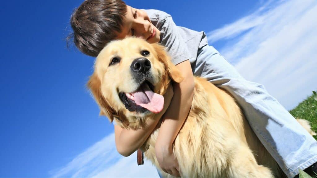light brown dog getting hugged by a boy