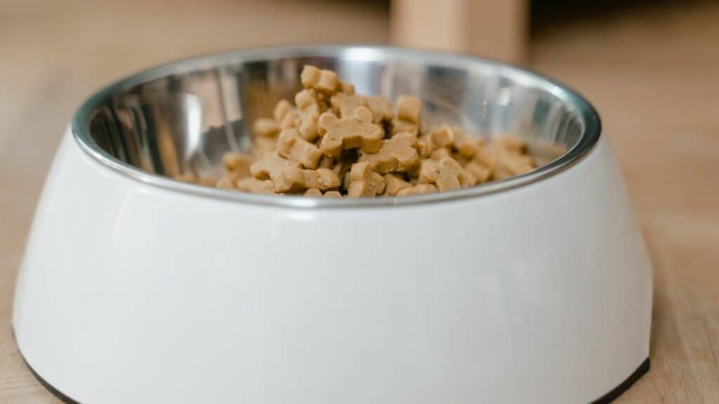 white dog food bowl from near