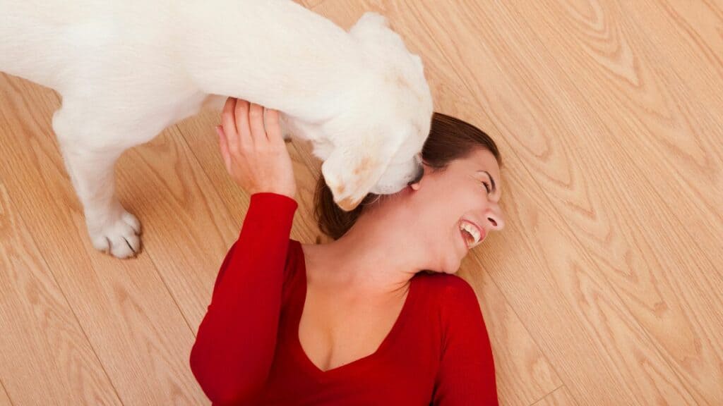 white little dog licking a woman in red shirt face