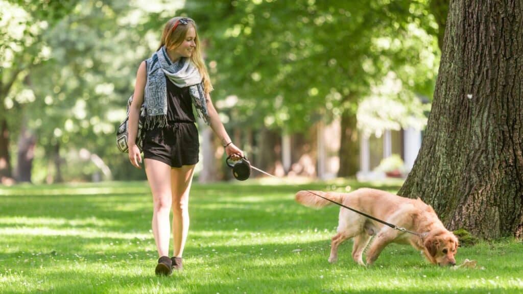 woman walking with brown dog on grass