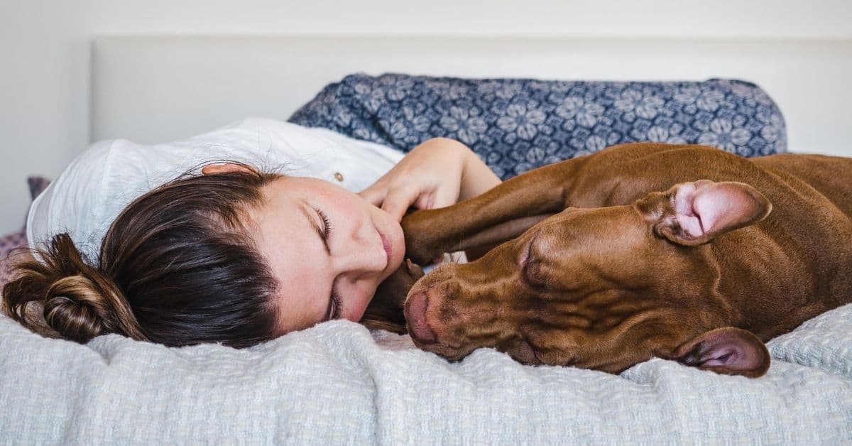 9 Surprising Reasons Why Your Dog Loves Sleeping With You