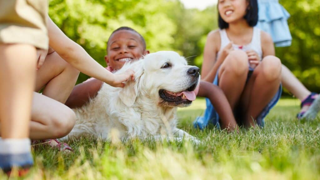 white dog laying in the middle of kids
