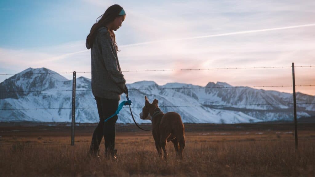 woman with a dog in the mountains