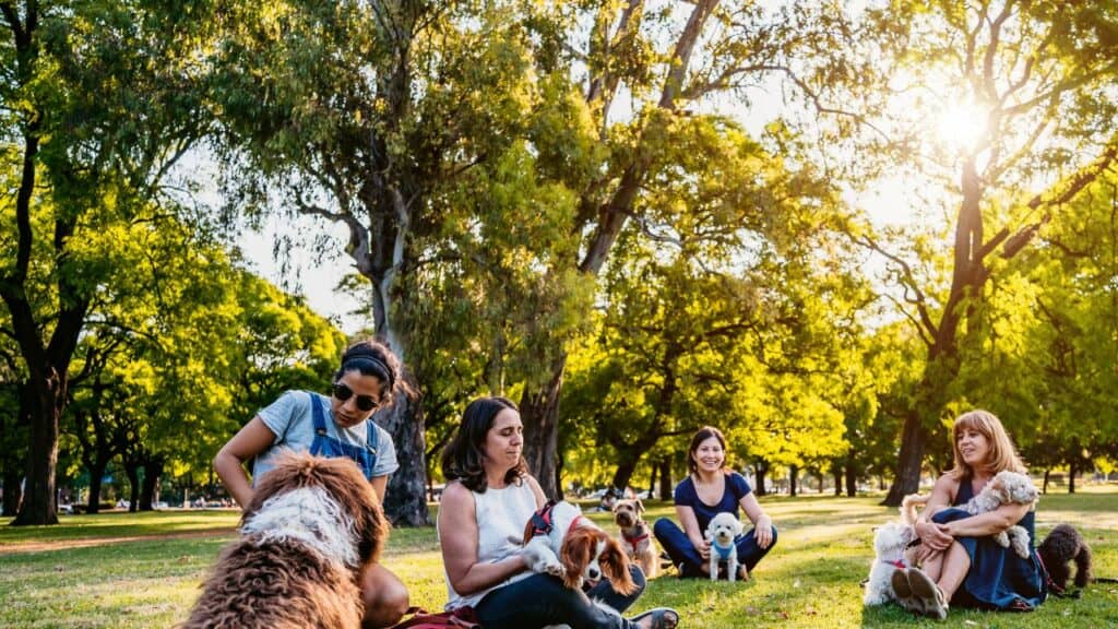 women-with-dogs-in-dog-park