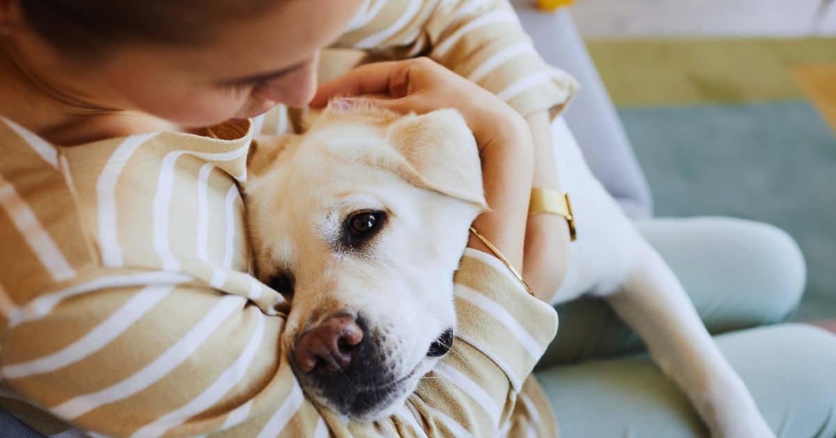 15 Reasons Why Dogs Rest Their Heads On You