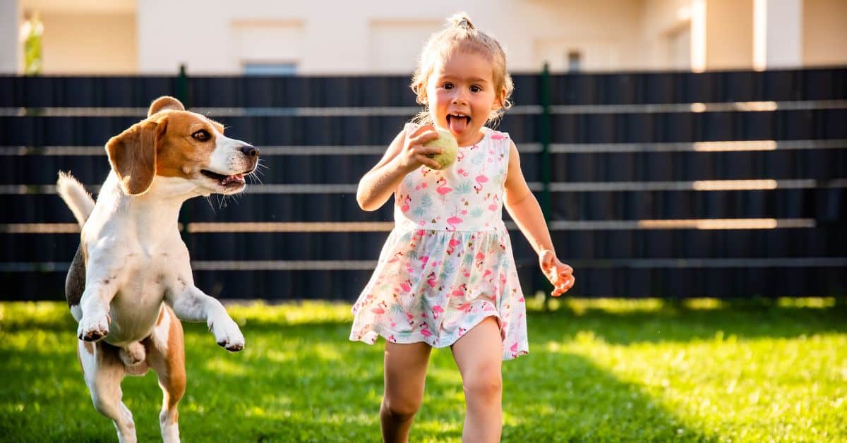 Reasons Why Every Kid Should Grow Up with a Dog