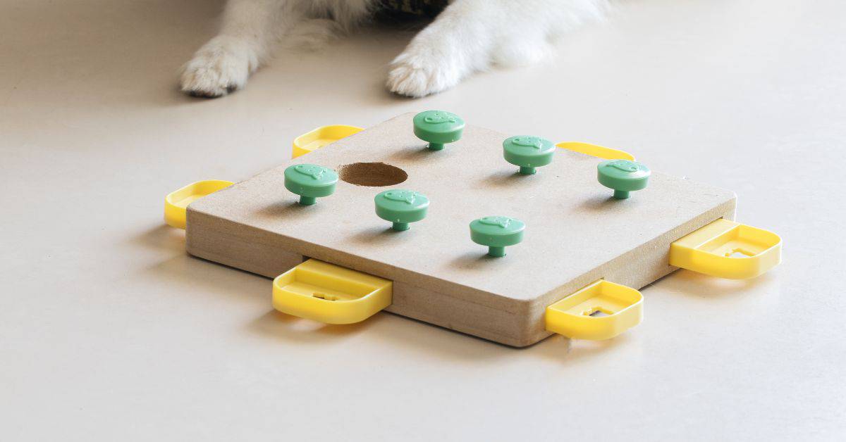 Best Stimulating Indoor Games for Dogs